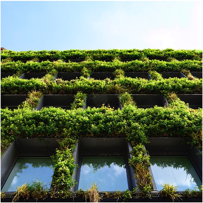 Carbon plan