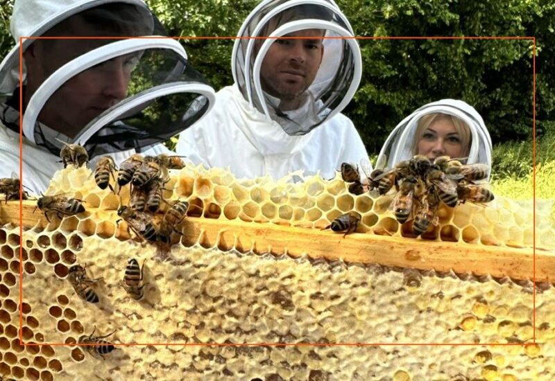 Bee hive visit july 2025 Hartnell Taylor Cook