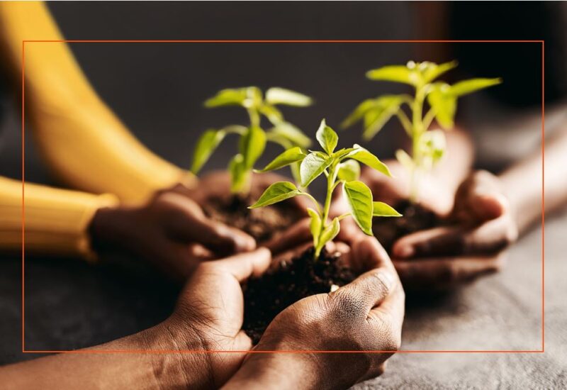 Carbon reducton plan